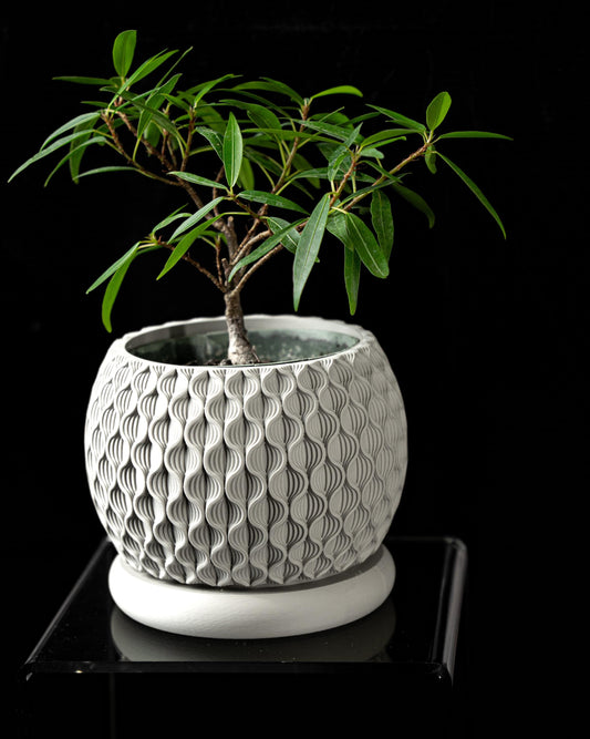Moderner Blumentopf mit Drainage "Spring"| Exklusiv 3D gedruckter Topf für Blumen & Pflanzen