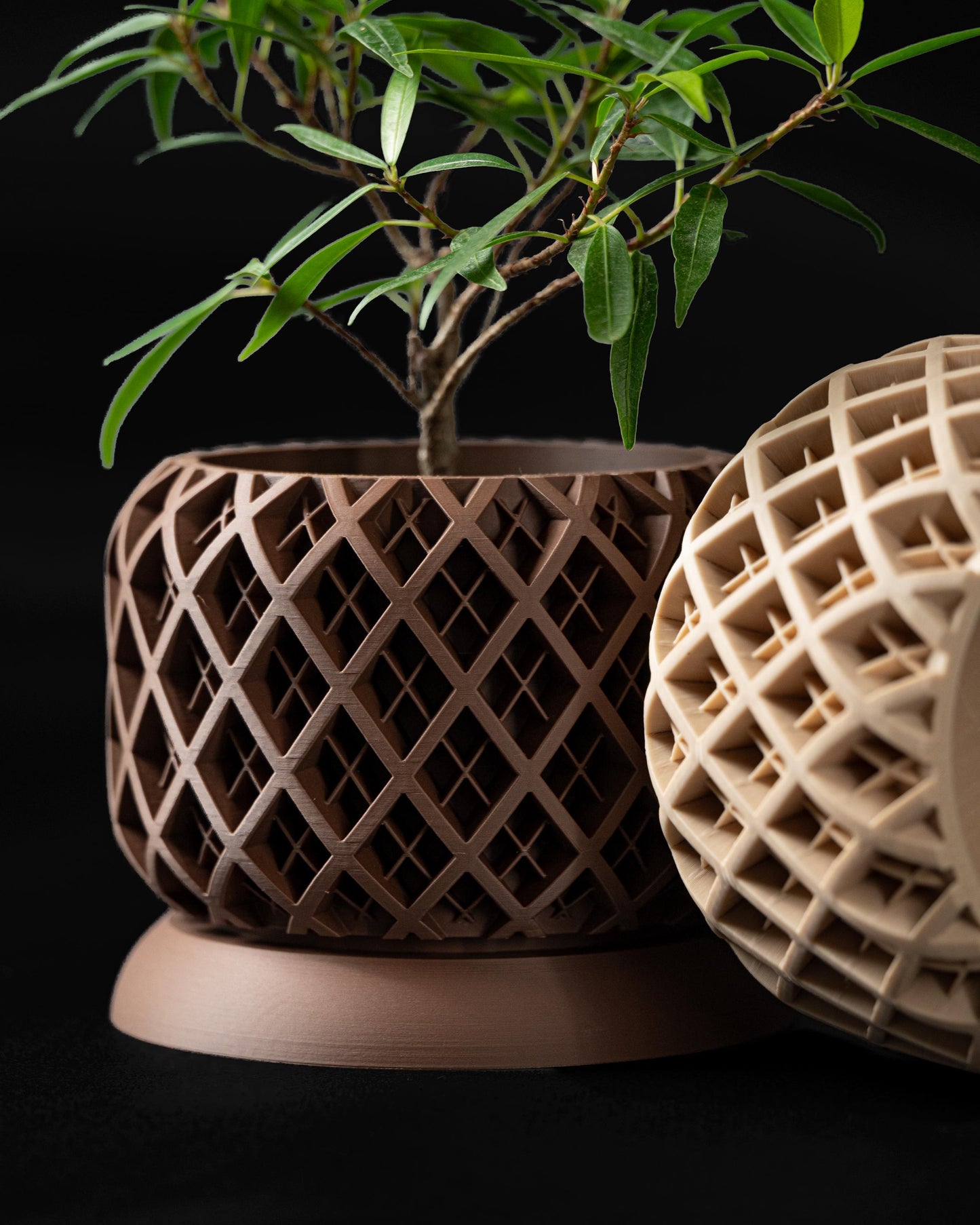 Moderner Blumentopf mit Drainage "Lexum"| Exklusiv 3D gedruckter Topf für Blumen & Pflanzen