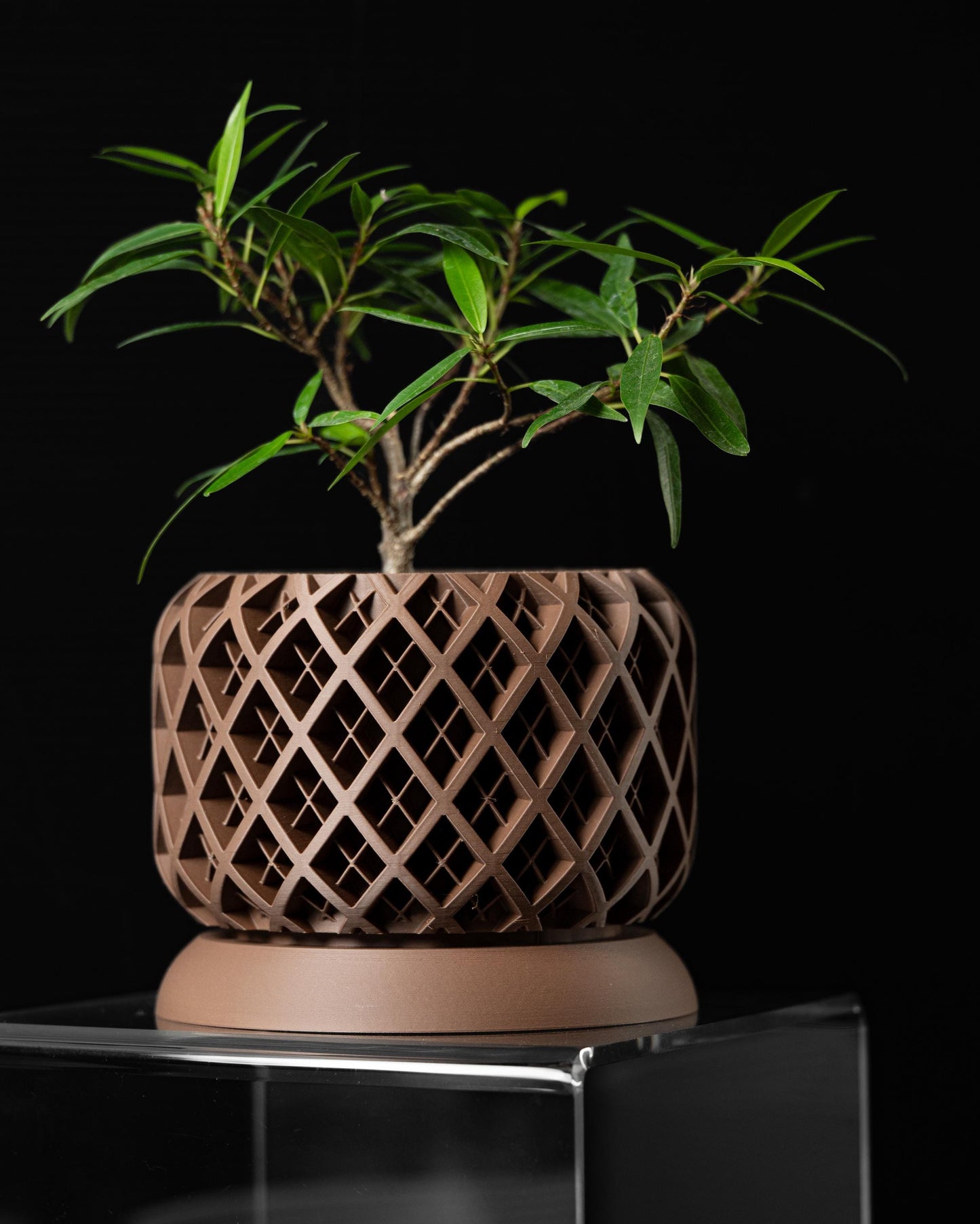 Moderner Blumentopf mit Drainage "Lexum"| Exklusiv 3D gedruckter Topf für Blumen & Pflanzen